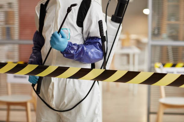 Professional Blood Cleanup technician working in Port Aransas, TX